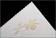 addison_bc_detail.jpg